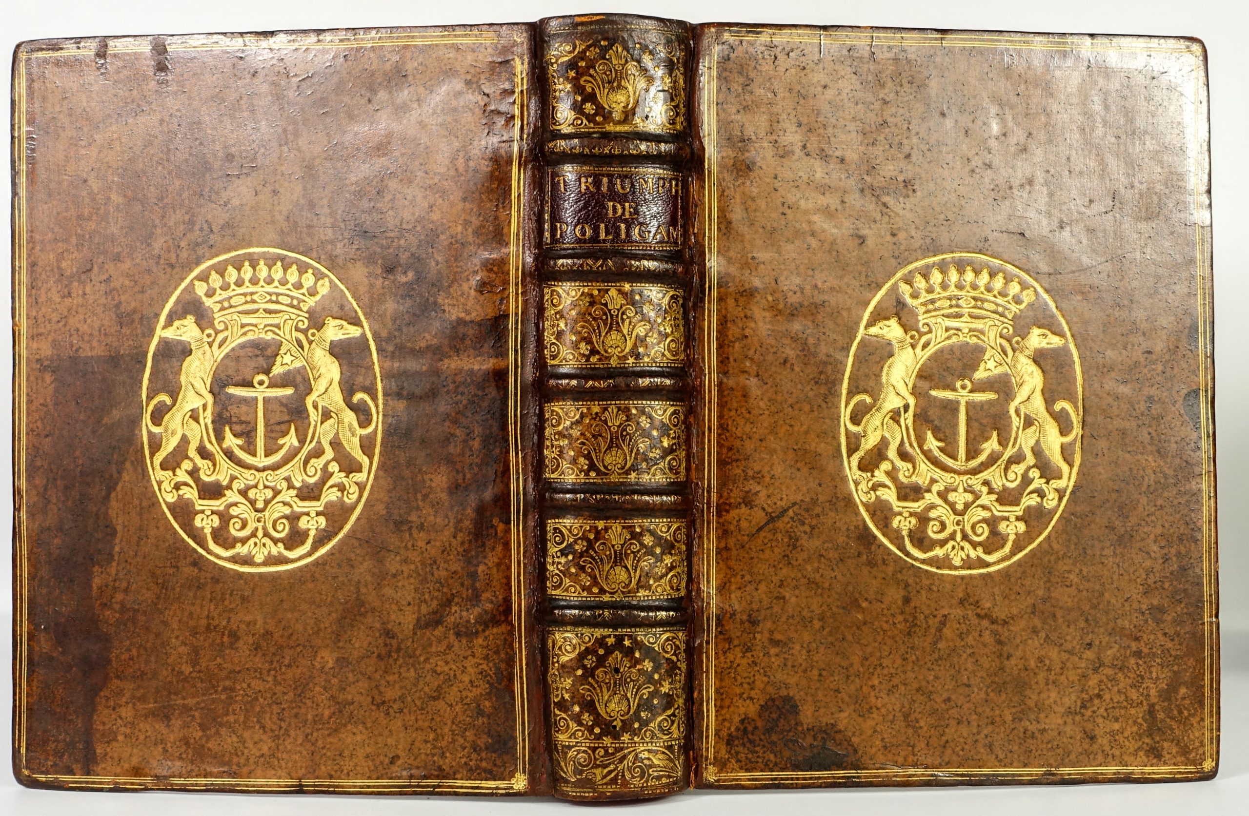 ALETHEO Theophilo - Polygamia Triumphatrix. 1682, rare ouvrage en faveur de la polygamie. Reliure aux armes du président à la chambre des comptes de Paris – Image 2