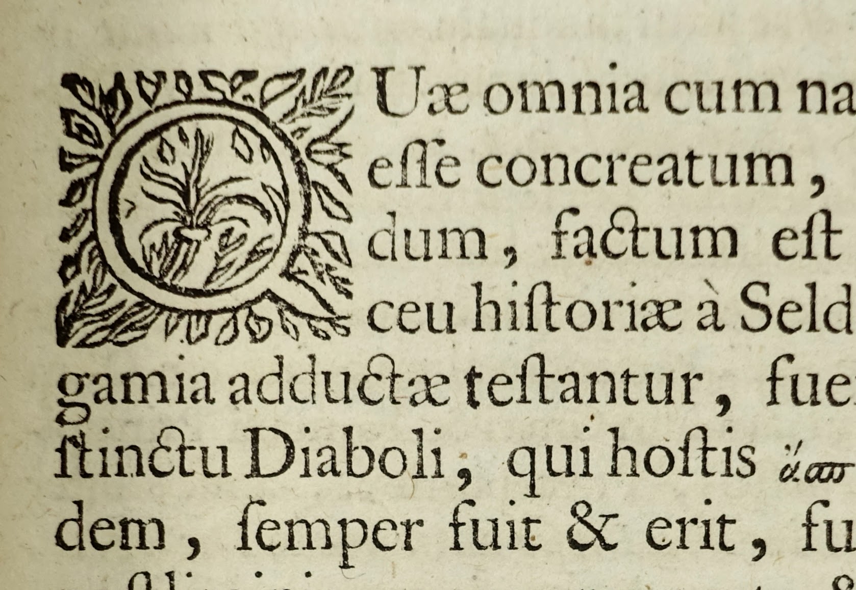 ALETHEO Theophilo - Polygamia Triumphatrix. 1682, rare ouvrage en faveur de la polygamie. Reliure aux armes du président à la chambre des comptes de Paris – Image 9