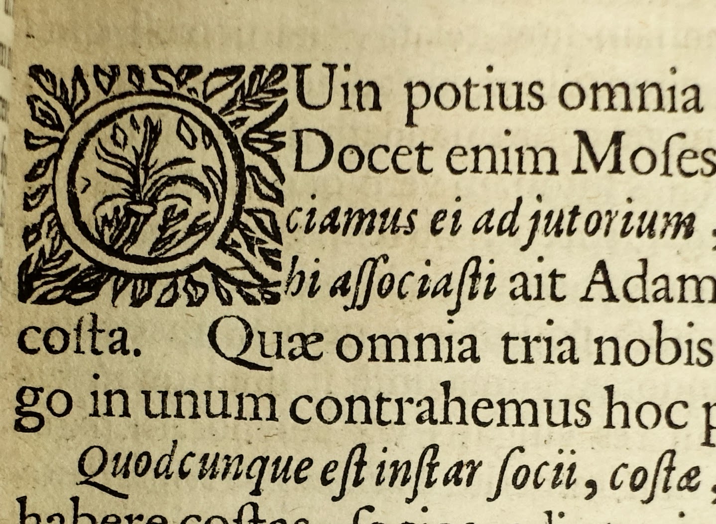 ALETHEO Theophilo - Polygamia Triumphatrix. 1682, rare ouvrage en faveur de la polygamie. Reliure aux armes du président à la chambre des comptes de Paris – Image 10