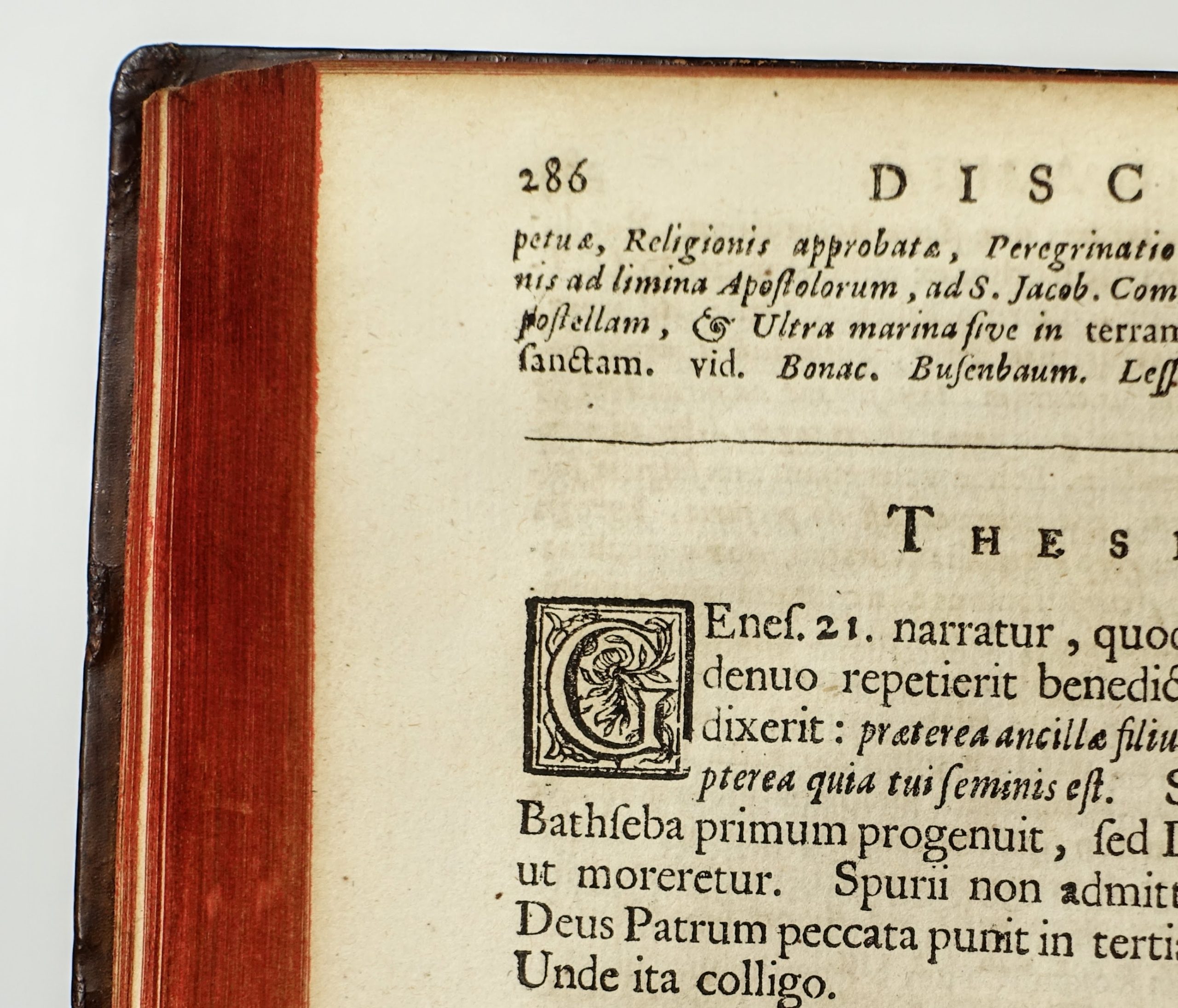 ALETHEO Theophilo - Polygamia Triumphatrix. 1682, rare ouvrage en faveur de la polygamie. Reliure aux armes du président à la chambre des comptes de Paris – Image 12