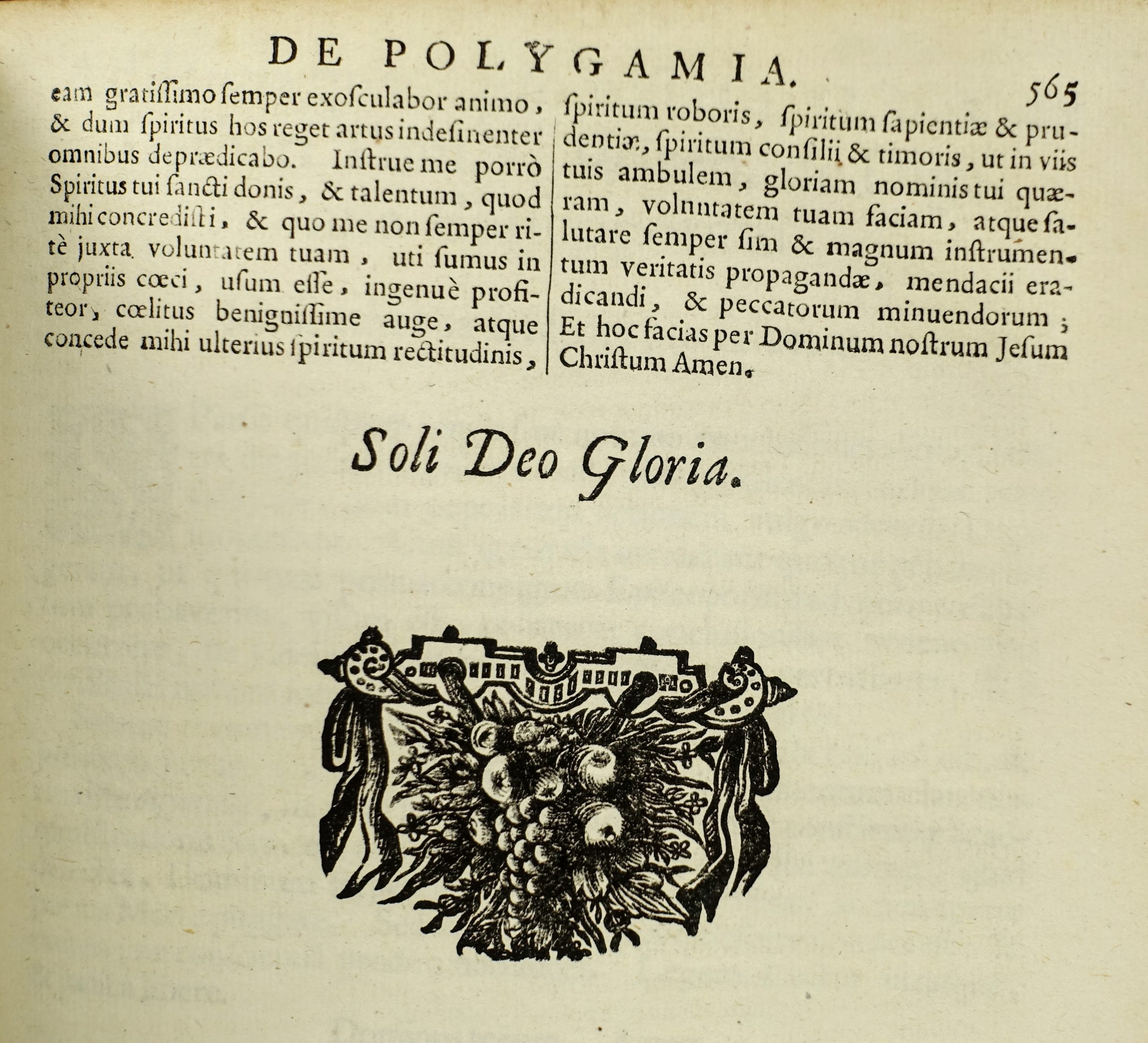 ALETHEO Theophilo - Polygamia Triumphatrix. 1682, rare ouvrage en faveur de la polygamie. Reliure aux armes du président à la chambre des comptes de Paris – Image 15