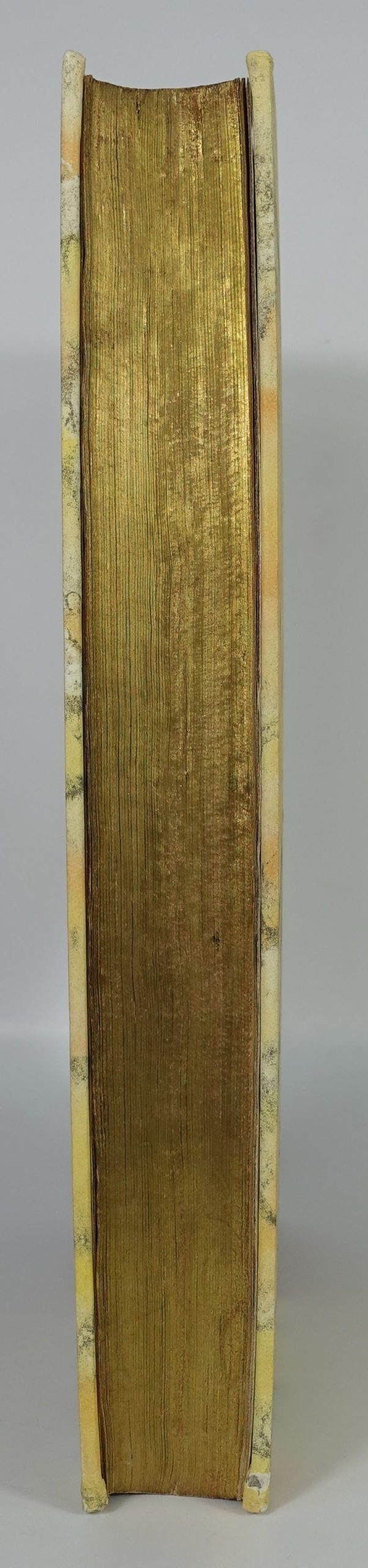 AELIUS Aristide - CANTER Willem - Aelii Aristidis Adrianensis Oratoris Clarissimi Orationum. 1566, in-folio, rarissime – Image 13